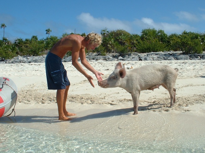 Pat and Pig